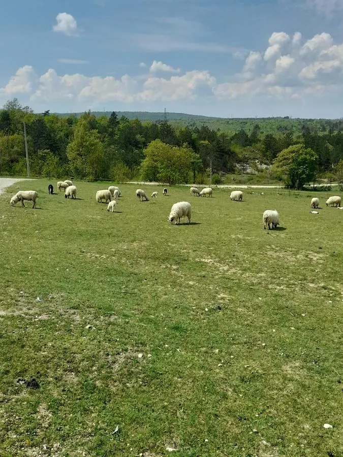Kuca Za Odmor Lana Apartment Krsan