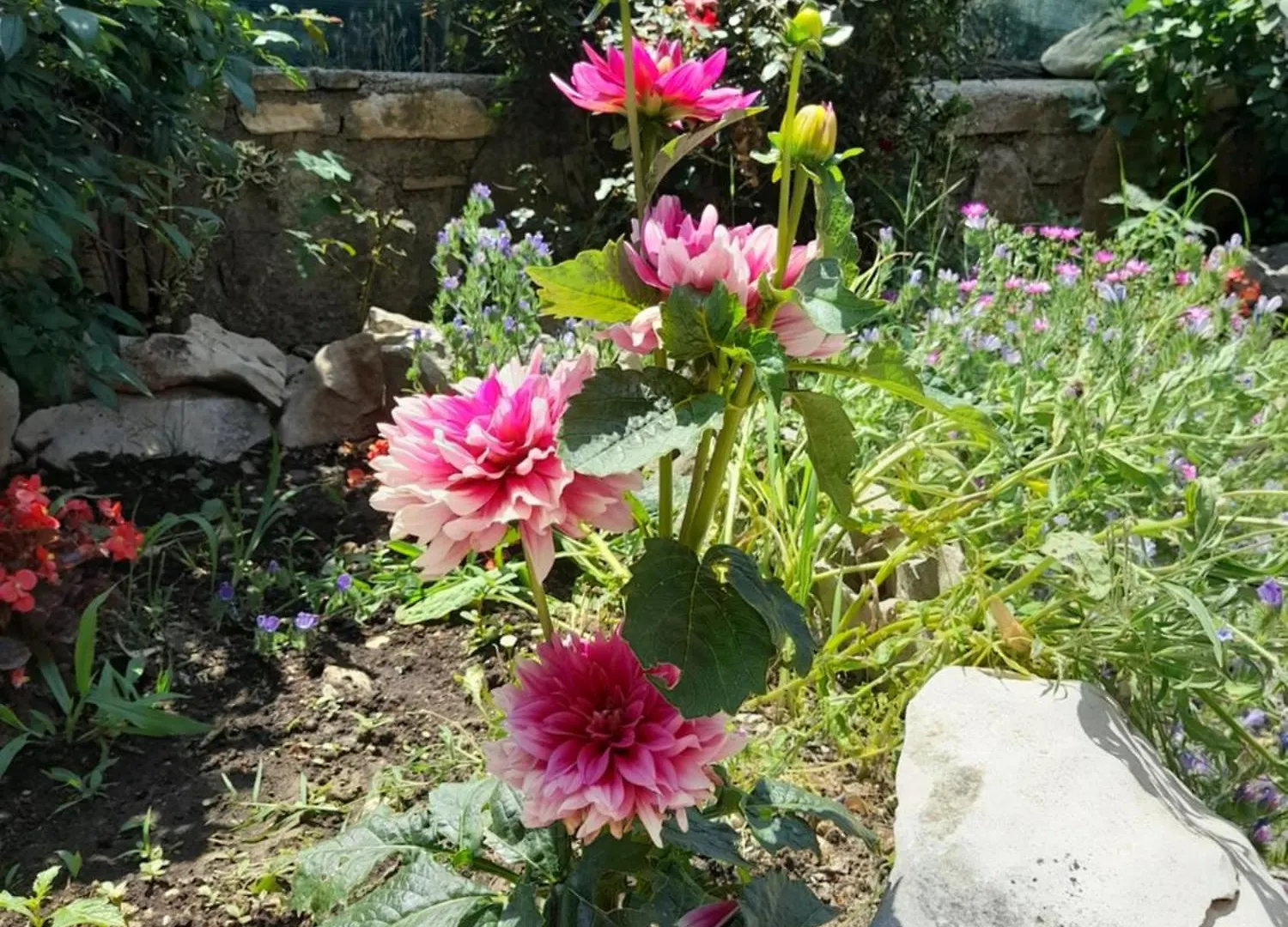 Kuca Za Odmor Lana Apartment Krsan Croatia